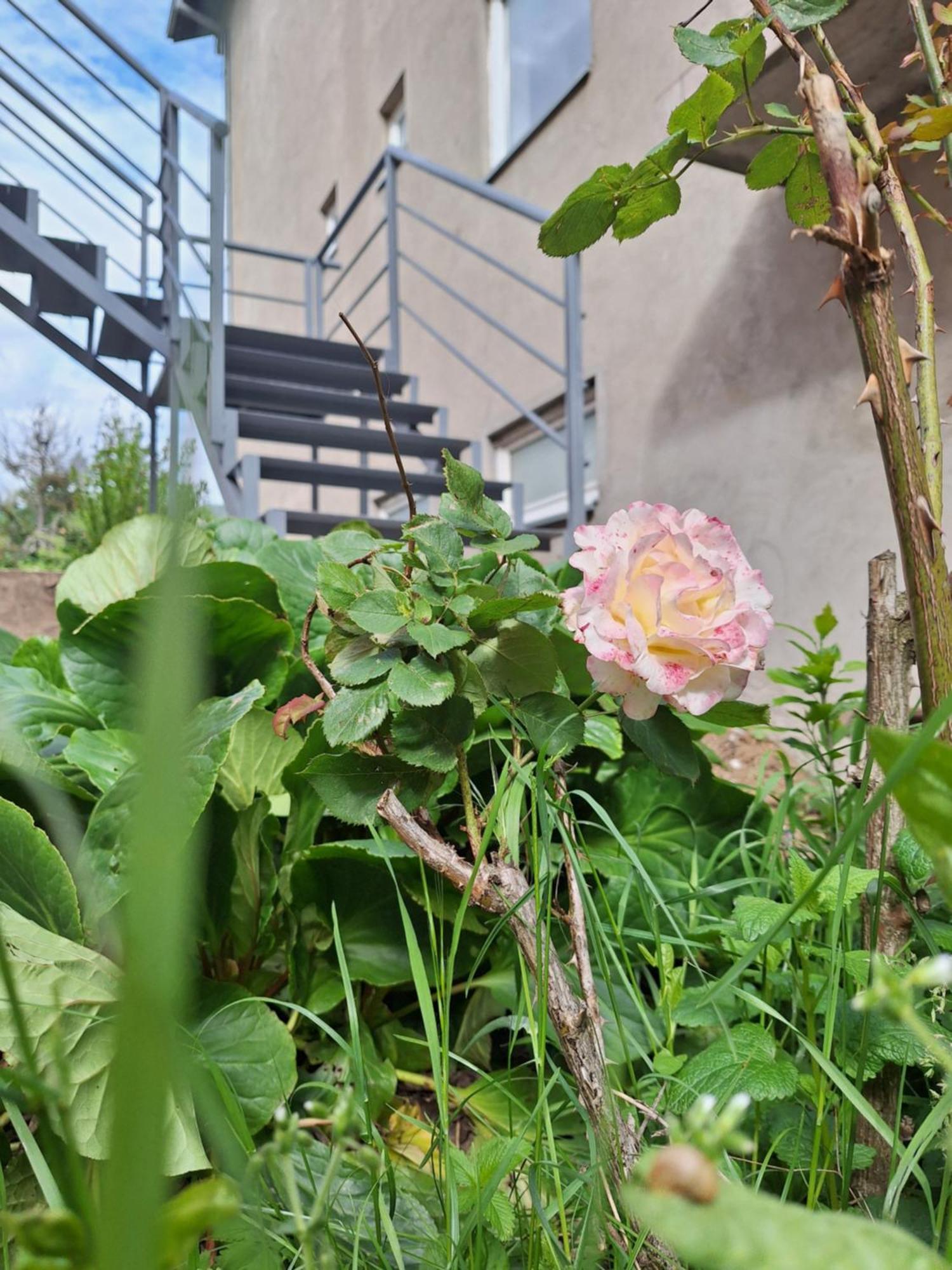 Apartmani Lena Plužine Exteriör bild